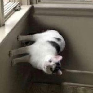 Meet your Posher, John